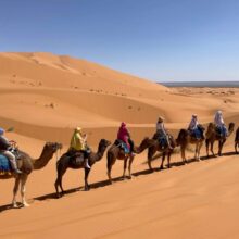 Oase des Herzens Yoga Karawane